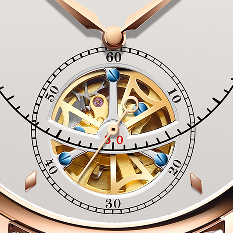 Automatic Mechanical Watch Swi - Luxury Watch German 评论和价格